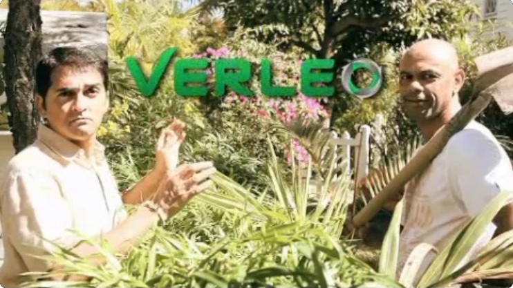 Présentation Verléo 3